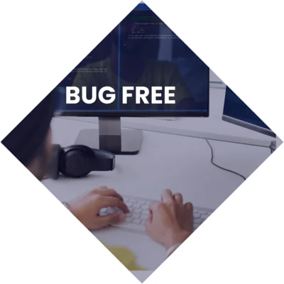 bug free software development
